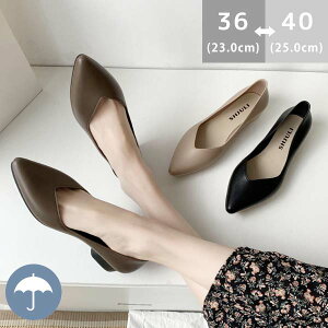 JC CpvX CV[Y fB[X ʋ  C pvX ɂȂ ₷ CpvX fB[X |CebhgD pvX ؂ JC AEghA 