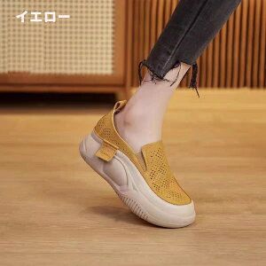 yr[Tz Xb| EhgD  [t@[  tbgV[Y JWA V[Y fB[X 5cm ₷ lԍHw [t@[ y ~ r 