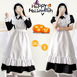 Ch O RXvߑ   V[g  Gv NVJ CCh 3_Zbg fB[X lp CMX t NVJ  iXϑ O s