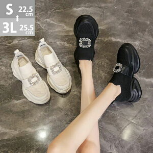 rW[Xj[J[ bV _bhXj[J[ fB[X  6.5cm q[ Xb| Xgb` RtH[g RȂ b   Vv y C\[ f C l r  