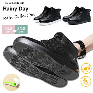 Cu[c CV[Y V[gu[c Xj[J[ o[V[Y o[u[c Y [XAbv ҂ݏグ JC J J ɂ hV[Y Sh nCJbg  ~