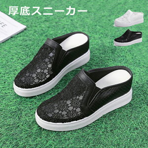 Xb| Xj[J[ 4cm up ƂȂ bV Xbp fB[X hJ  T}[Xj[J[ X|T Cq[ gAbv T_ [XAbv ₷ wlC 