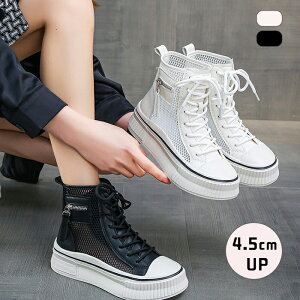 V[gu[c Xj[J[ 4.5cm bV fB[X  gAbv [XAbv T}[Xj[J[ Cq[ T_ ₷ r y ₷ Ȃ ɂȂ Vv