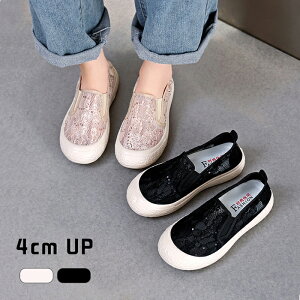 Xj[J[ Xb| [t@[ fB[X 4cm ؂ւ [X hJ Xj[J[ ₷  V[Y ₷  [Jbg tbg ؂ EhgD tbgV