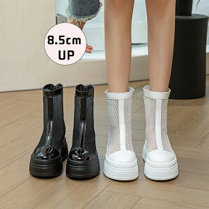 T}[u[c u[c u[cT_ fB[X V[gu[c T_ EhgD  bV ّf ؂ւ 8.5cmq[ nCJbg ₷  t@Xi[ C r