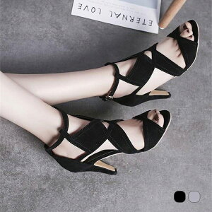 T}[u[c u[cT_ fB[X V[gu[c T_ 9cmq[ Jbg[N NXfUC ّf ؂ւ zF nCJbg XG[h ₷  sq[ C 