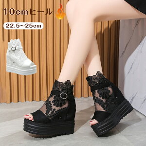 u[cT_ T_ T}[u[c fB[X ₷ EFbW\[ V[gu[c [X ԕ T_ q[10cm gAbv q[T_ I[vgD d OL rWl