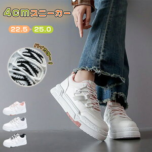 Xj[J[ fB[X Xj[J[ Xj[J[fB[X ₷ V[Y oCJ[ [Jbg X|[c _bhXj[J[ אg gAbv C nn V[Y 