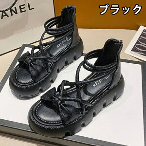 T_ XgbvT_ fB[X { 5.5cmq[ OfBG[^[T_ NXXgbv ؍ r ₷ ɂ obNt@Xi[  Ȃ gAbv