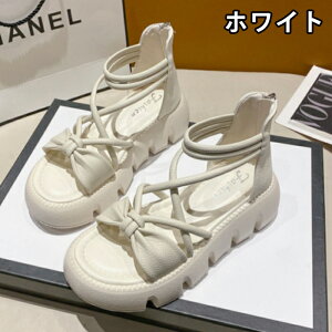 T_ XgbvT_ fB[X { 5.5cmq[ OfBG[^[T_ NXXgbv ؍ r ₷ ɂ obNt@Xi[  Ȃ gAbv