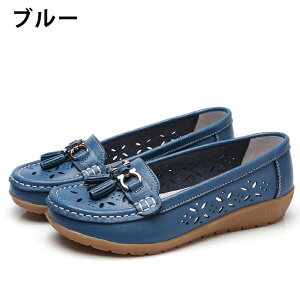 JV fB[X [t@[ pvX hCrOV[Y tbgV[Y p`O rbg  [Jbg ₷ JWA   y r  ᔽ R