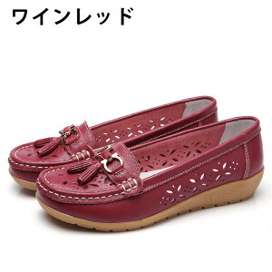 JV fB[X [t@[ pvX hCrOV[Y tbgV[Y p`O rbg  [Jbg ₷ JWA   y r  ᔽ R