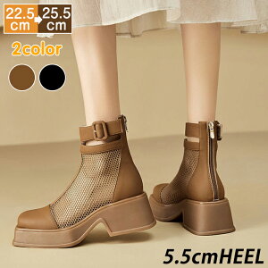 T}[u[c fB[X u[cT_ bV ʋC  ėp nCq[ V[gu[c  5.5cmq[   EhgD ₷   ꂢ T}[u