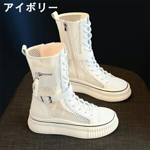 T}[u[c u[cT_ bVu[c fB[X  3.5cmq[ bV nCJbg u[cXj[J[ [XAbv TChWbv y ₷ Ȃ ɂȂ  