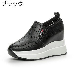 V[NbgXj[J[ Xj[J[ fB[X  10cmq[ Cq[Xj[J[ Xb| TChSA {v ₷ Ȃ h r r lC ؍ IV EH