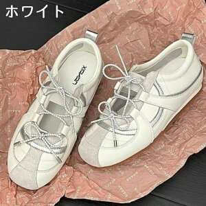 oG Xj[J[ fB[X  5cmq[ Cq[ { oGRA _bhXj[J[ ₷ Ȃ y  킢 JWA V[Y C  ʋ ʊw r 