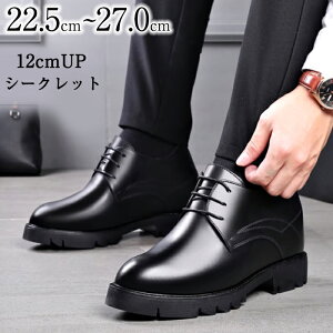 _6OFFN[| 30܂Ł^V[NbgV[Y 12cm vC Y  rWlXV[Y g[V[Y wȂC gAbv q[Abv C rWlX amC OH U[ tH