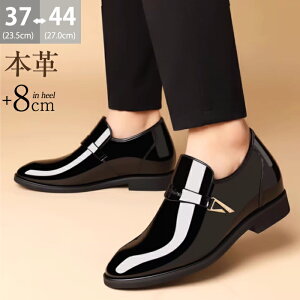 _8OFFN[| 17܂Ł^V[NbgV[Y 8cm UP rWlXV[Y Y  {v Gi Xb| gAbv vC [t@[ wȂC oȂ   tH