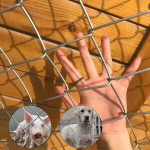 ԃtFXA2.0~4.0mmC[TCYbL`F[NtFXwr[f[eBėp\ȒtFX[AƋ׃lbgp