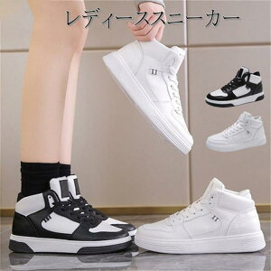 Xj[J[ fB[X C nCJbg h ~ y ʋΒʊw JWA   