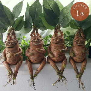 u }hS }hCN z[ A {iI a t   XJ[  NX}Xpi | |  {[ a 킢 ObY G