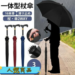  XebL P  16{ dݏ P Jp jp y ~ Y fB[X hV̓ v[g