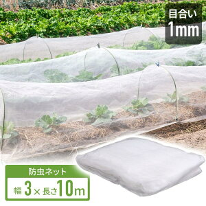 ySi2_5%OFFzhlbg | 3×10m ^ lbg 悯lbg  ؉phlbg lbg v^[ ƒ؉ x_ Q Q΍ h ی gl