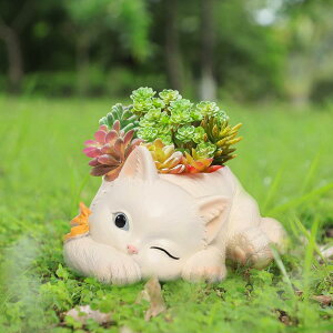2Zbg  t[|bg Ap  f Aؔ 芴 t[|bg AAt ȐAؔ ؂₩ɂȂ CeA