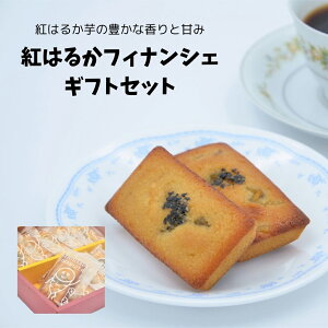 Ⴂ̉w ̂Ɛ痢lg͂邩tBiVFMtgZbgyg͂邩 tBiVF Mtg \o 񂹁zyCΏۊOz