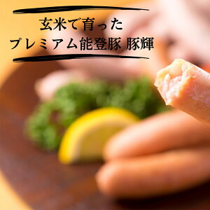 Ⴂ̉w ̂Ɛ痢l\o؃\[Z[Wu؋Pv 3Zbgy\o \[Z[W \o 񂹁z