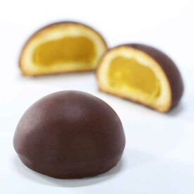 ≪加賀菓子処 御朱印≫御朱印 ちょこれーと饅頭【石川県 加賀 銘菓 チョコレート 伝統和菓子 黄身餡 和洋折衷 お菓子 手土産 お取り寄せ スイーツ お中元 お歳暮 ギフト】