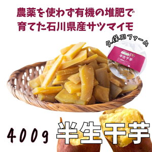 vۓct@[₨̂炩Ƃ₳Âuv400gyzyΐY z^_ L@͔ ܂  z