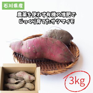 vۓct@[_g킸L@͔̑łĂTc}C 3kgyzyΐY z^_ L@͔ ܂ 񂹁z