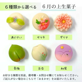 ≪菓匠まつ井≫金沢の和菓子 四季の上生菓子4個セット お好きな種類が選べます【石川県 金沢 老舗 練りきり 和スイーツ 冷凍 季節 おすすめ 通販 お取り寄せ ギフト 月替り 詰め合わせ キレイ 可愛い 美味しい 白あん】