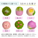 ≪菓匠まつ井≫金沢の和菓子 四季の上生菓子6個セット お好きな種類が選べます【石川県 金沢 老舗 練りきり 和スイー…
