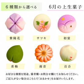 ≪菓匠まつ井≫金沢の和菓子 四季の上生菓子6個セット お好きな種類が選べます【石川県 金沢 老舗 練りきり 和スイーツ 冷凍 季節 おすすめ 通販 お取り寄せ ギフト 月替り 詰め合わせ キレイ 可愛い 美味しい 白あん】