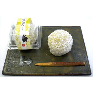  ̂Ɖΐ쌧Y ܘYgpiÂjyԌ ܂  RRibcpE_[ \o  ʔ́zyCΏۊOz