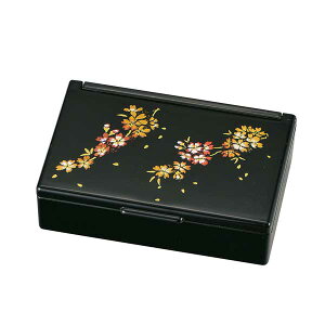 ҎKawaii-HAKO S6yCΏۊOz