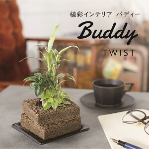 g[PBuddy TWISTicCXgj STCYyAʃCeA ofB[ ϗtA A |bg A 񂹐A CeA ₵ ȒPz