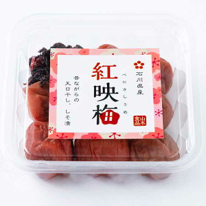 RؐHiHƁ̂Ȃ̎_ς~ gf~ (ׂɂ)140gyΐ쌧 V Ђ z