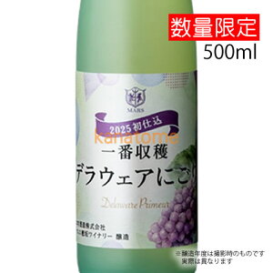 }XC Ԏn fEFA ɂ 500ml MtgNG