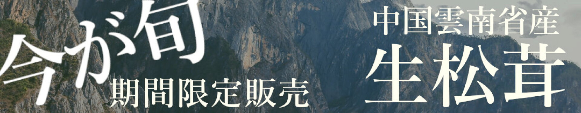 松茸