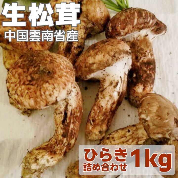 楽天市場】【特選】生まつたけ 1kg ひらき つめ合せ（大きさ混在）中国  