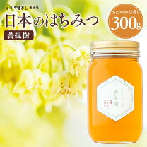 楽天市場】菩提樹 はちみつの通販