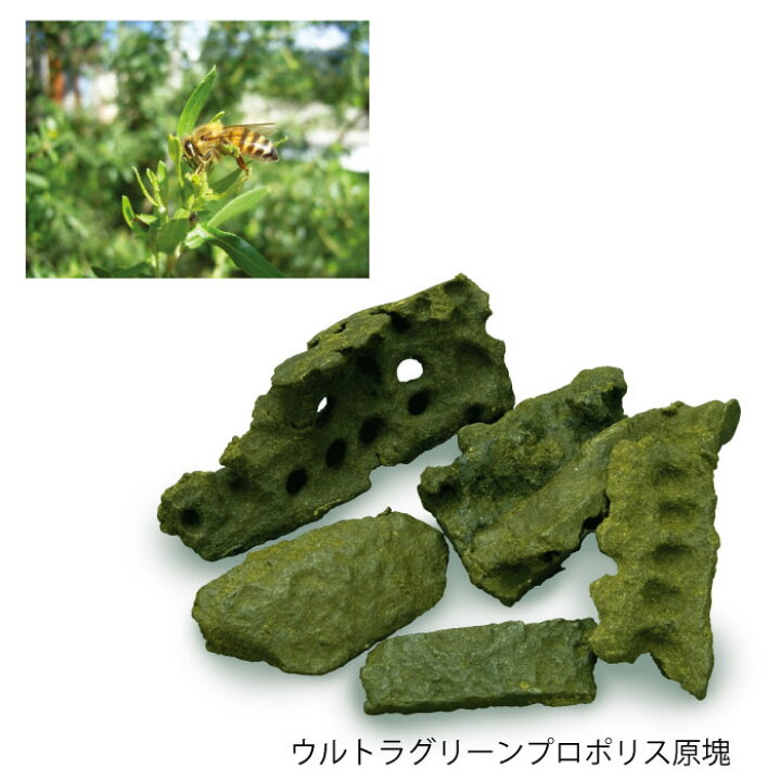 楽天市場 プロポリス粒 アルテピリンｃ 37ｇ 約150粒 ギフト プレゼント 内祝い お祝い 健康食品 サプリ 免疫 アレルギー 花粉症 口内炎 マヌカハニー ブラジル産 グリーンプロポリス アトピー 御中元ギフト 食べ物 御中元 プレゼント 実用的 金澤やまぎし養蜂場