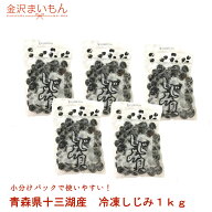 しじみ シジミ 蜆 十三湖産 200g×5パック　合計1kg 冷凍配送 金沢まいもん寿司が厳選 味噌汁やお吸い物…