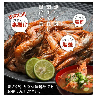 楽天市場 金沢ガスエビ 送料無料 金沢まいもん寿司おススメ がすえび300g 2p 別名 ガスエビ ガサエビ ガラエビ トゲザコエビ あす楽対応 金沢まいもん