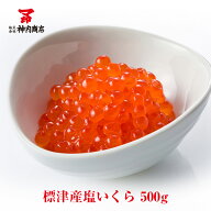 【2025新物】マ印 塩いくら 500g いくら イクラ 送料無料 標津産 北海道産 神内商店 金沢まいもん寿司【…