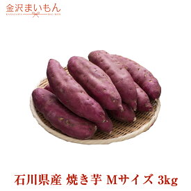 【送料無料】 さつまいも 五郎島金時 Mサイズ 3kg サツマイモ さつま芋 加賀野菜 石川県産 金沢まいもん寿司厳選 焼き芋 ふかし芋 五郎島金時1箱3kg