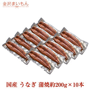yȂ10{zY Ȃ   elI\ TCY10F𓀑O200g(𓀌185g)×10{ ɍœK Y  V  Ε v[g Mtg 